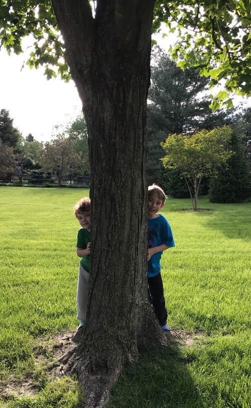 Two children trying to hide behind a tree