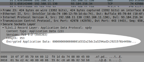 Wireshark screenshot showing encrypted text